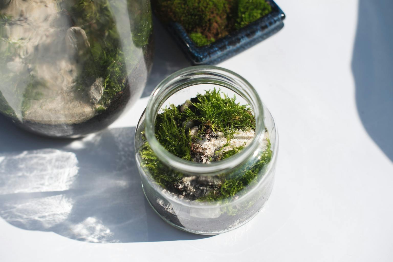 Dan Zemlje in reciklaža pohištva z Larinim centrom za ustvarjanje, umetnost in rast